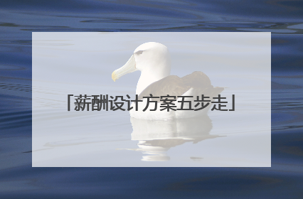 薪酬设计方案五步走