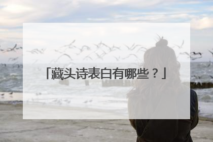 藏头诗表白有哪些？