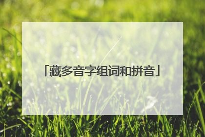 藏多音字组词和拼音
