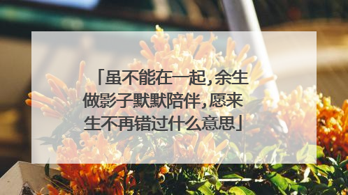 虽不能在一起,余生做影子默默陪伴,愿来生不再错过什么意思