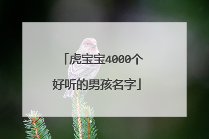 虎宝宝4000个好听的男孩名字