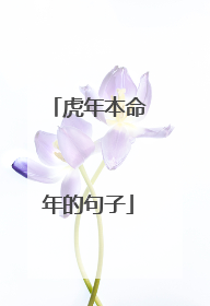 虎年本命年的句子