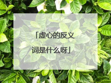 虚心的反义词是什么呀