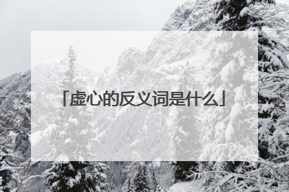 虚心的反义词是什么