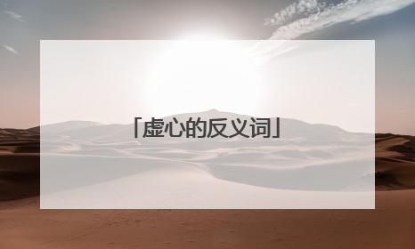 虚心的反义词