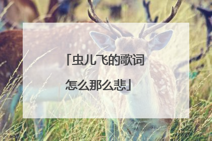 虫儿飞的歌词怎么那么悲