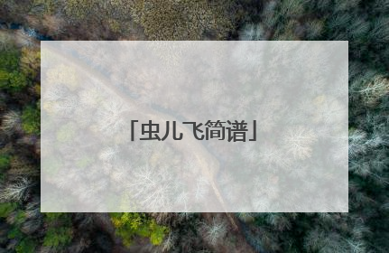 虫儿飞简谱