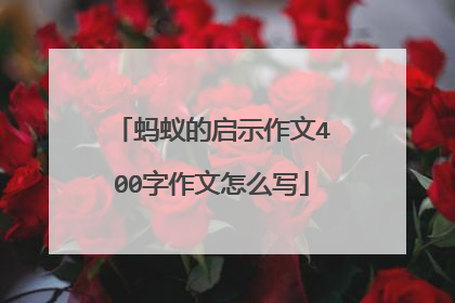 蚂蚁的启示作文400字作文怎么写