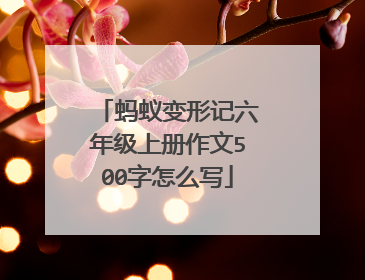 蚂蚁变形记六年级上册作文500字怎么写