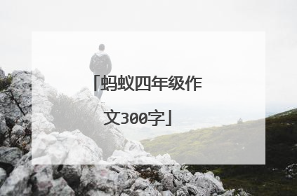 蚂蚁四年级作文300字