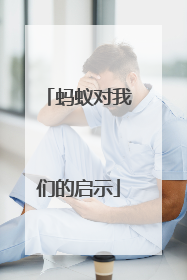 蚂蚁对我们的启示