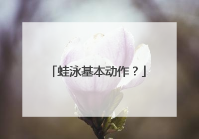 蛙泳基本动作？