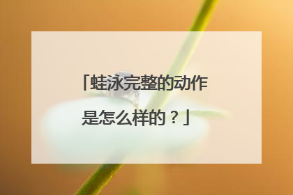 蛙泳完整的动作是怎么样的？