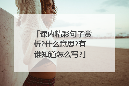 课内精彩句子赏析?什么意思?有谁知道怎么写?