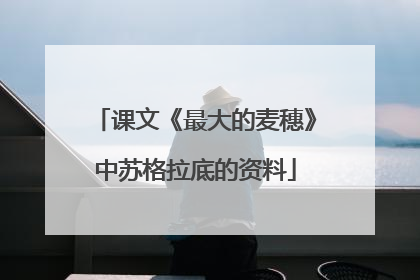 课文《最大的麦穗》中苏格拉底的资料