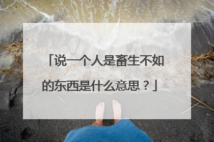 说一个人是畜生不如的东西是什么意思?