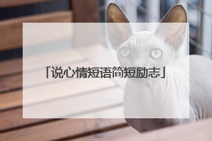 说心情短语简短励志
