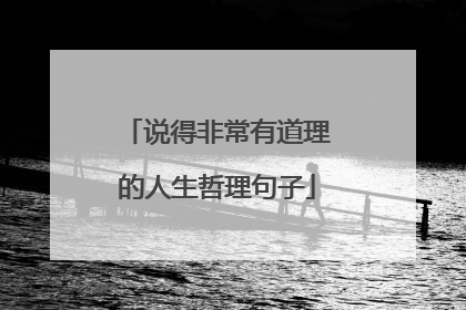 说得非常有道理的人生哲理句子