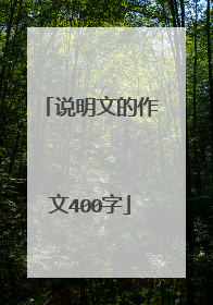说明文的作文400字