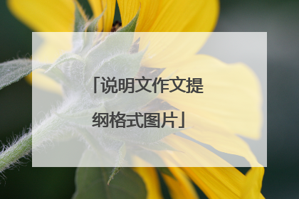 说明文作文提纲格式图片