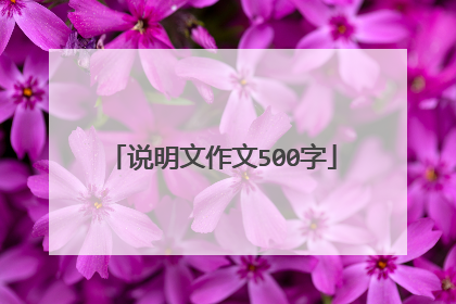 说明文作文500字