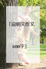 说明文作文600字