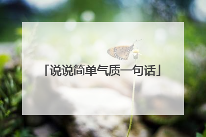 说说简单气质一句话