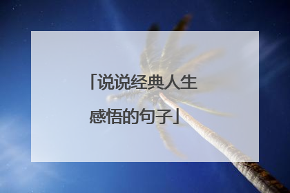 说说经典人生感悟的句子