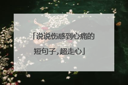 说说伤感到心痛的短句子,超走心