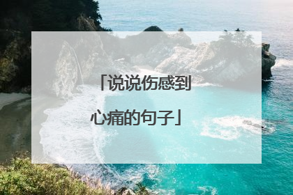 说说伤感到心痛的句子