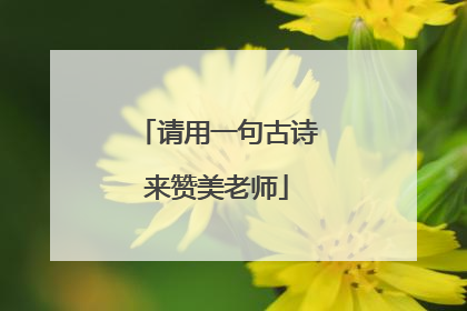 请用一句古诗来赞美老师