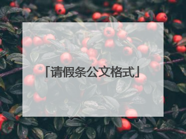 请假条公文格式