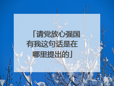 请党放心强国有我这句话是在哪里提出的
