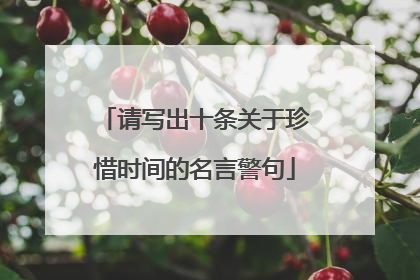 请写出十条关于珍惜时间的名言警句