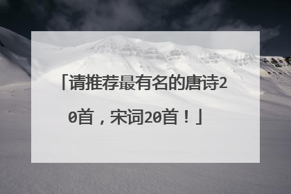 请推荐最有名的唐诗20首，宋词20首！