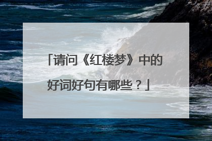 请问《红楼梦》中的好词好句有哪些?