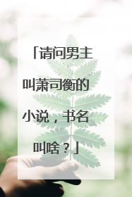 请问男主叫萧司衡的小说,书名叫啥?