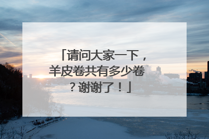 请问大家一下,羊皮卷共有多少卷?谢谢了!