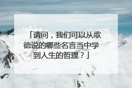 请问，我们可以从歌德说的哪些名言当中学到人生的哲理？