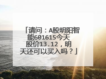 请问：A股明阳智能601615今天股价13.12，明天还可以买入吗？