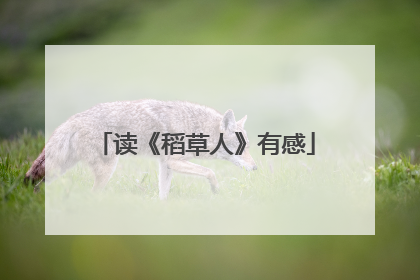 读《稻草人》有感