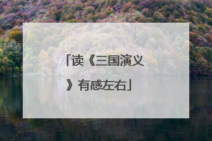 读《三国演义》有感左右