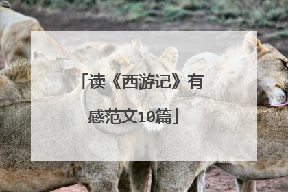 读《西游记》有感范文10篇