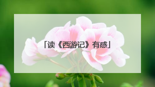 读《西游记》有感