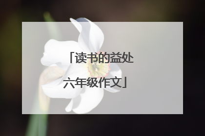 读书的益处六年级作文