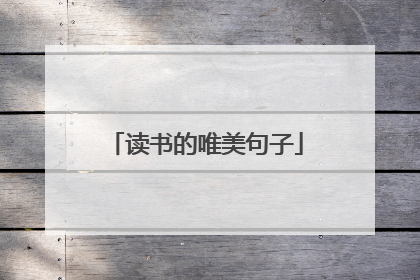 读书的唯美句子