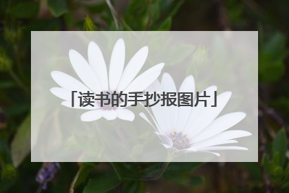 读书的手抄报图片