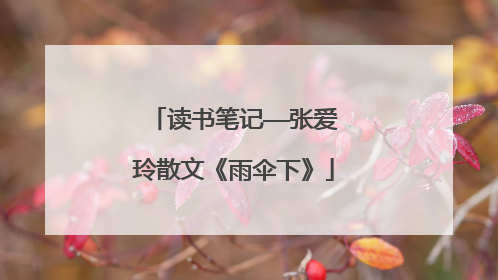 读书笔记——张爱玲散文《雨伞下》