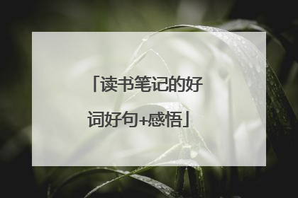 读书笔记的好词好句+感悟