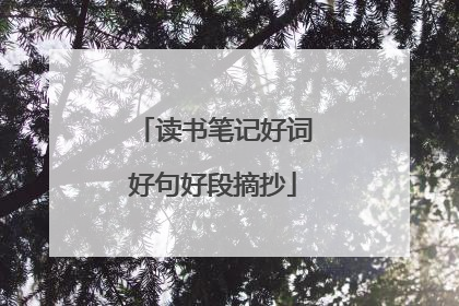 读书笔记好词好句好段摘抄